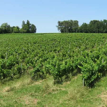 Chateau Begot Country house *