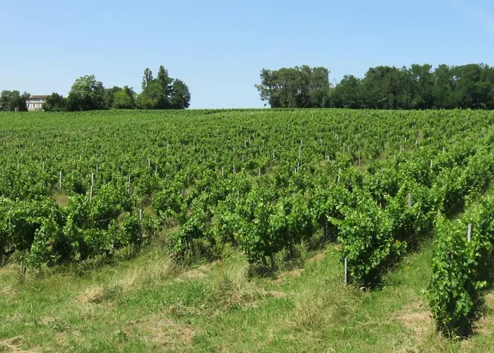 Chateau Begot Venkovský dům *